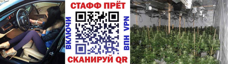 Купить Псилоцибиновые грибы  КОКАИН  Мефедрон  МАРИХУАНА  Alpha PVP  Тайга