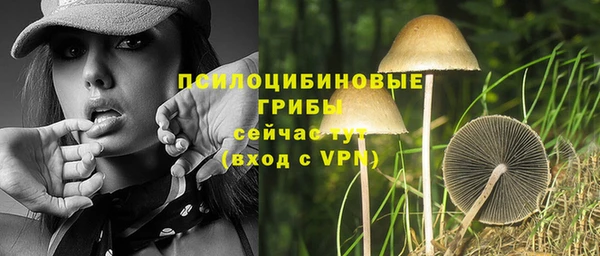 a pvp Краснотурьинск