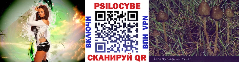 Галлюциногенные грибы прущие грибы  Купить закладки  Тайга 