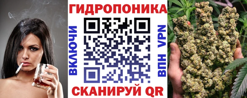 Бошки Шишки конопля  Купить  Тайга 